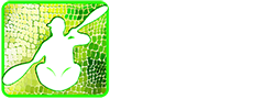 Tropical Sea Kayaking Logo